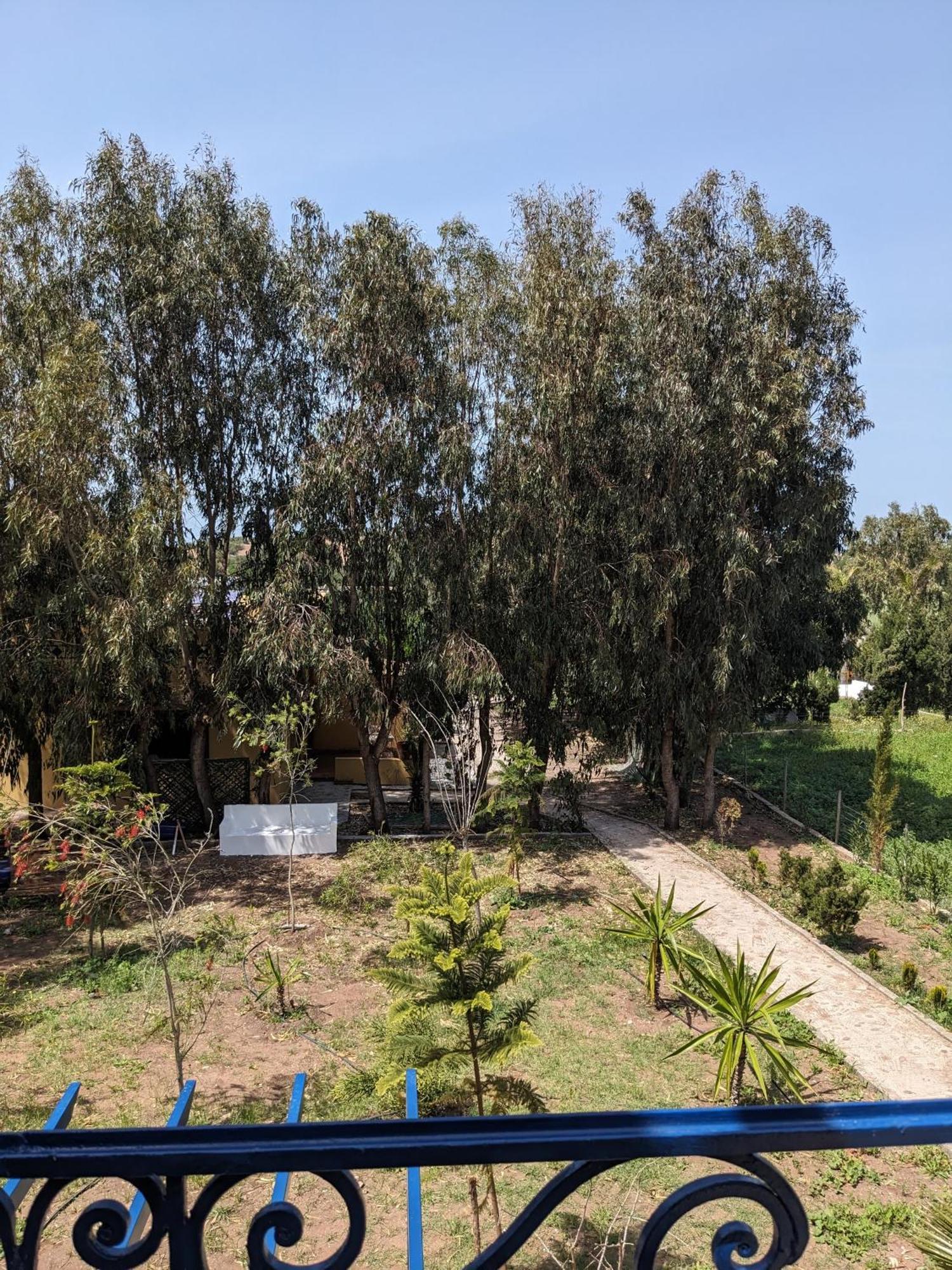 Mesdunes Azemmour Buitenkant foto