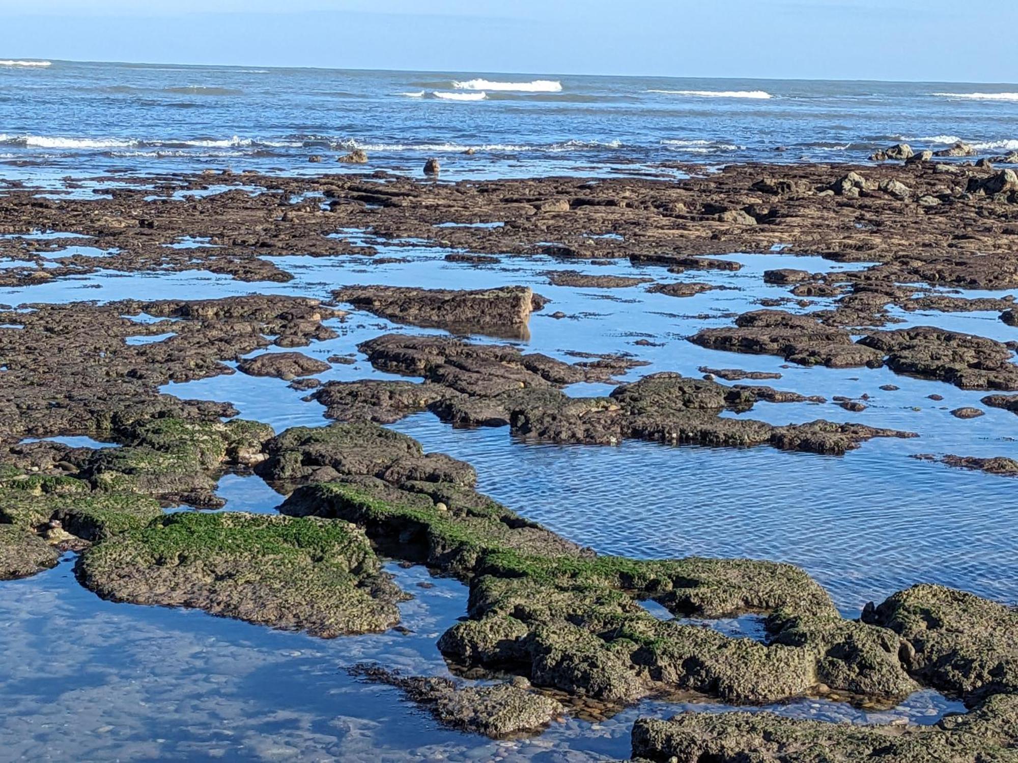 Mesdunes Azemmour Buitenkant foto